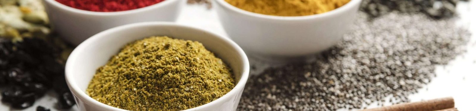 Terms & Conditions | Indian Spices Exporter – SpiceBloom